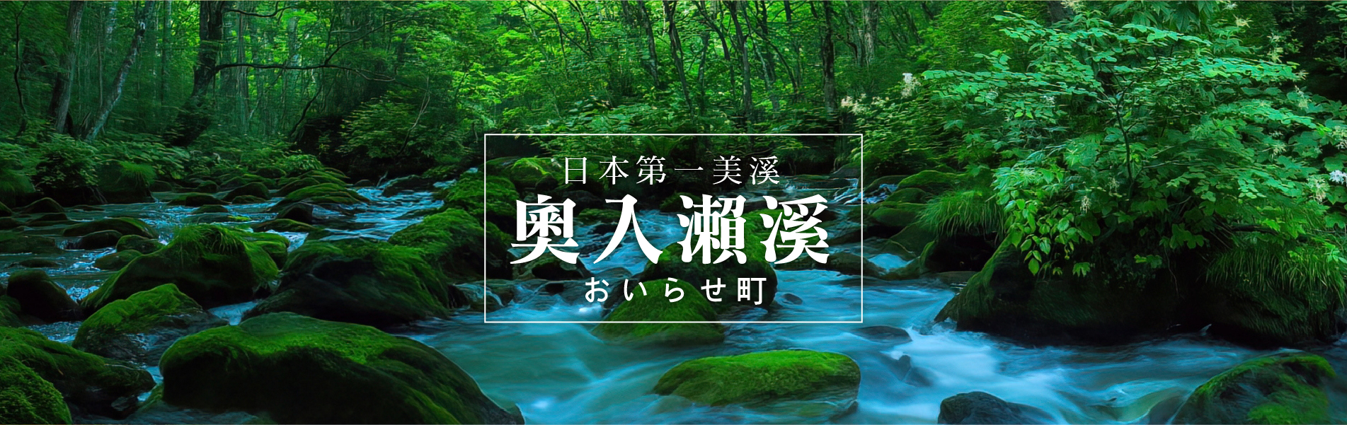 活力假期